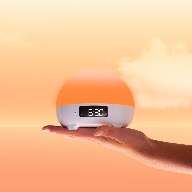 L'oeuf - Simulateur d'aube